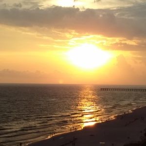 Meet your Posher, Maddy